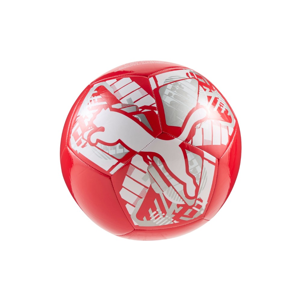 Big Cat Soccer Ball