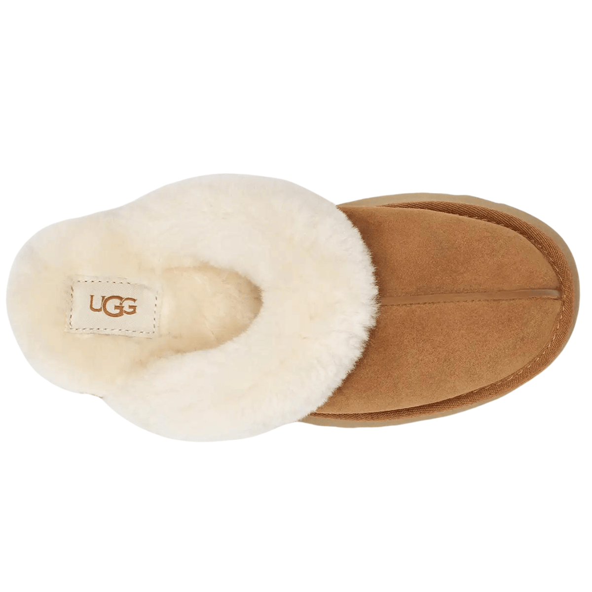 Women's Disquette