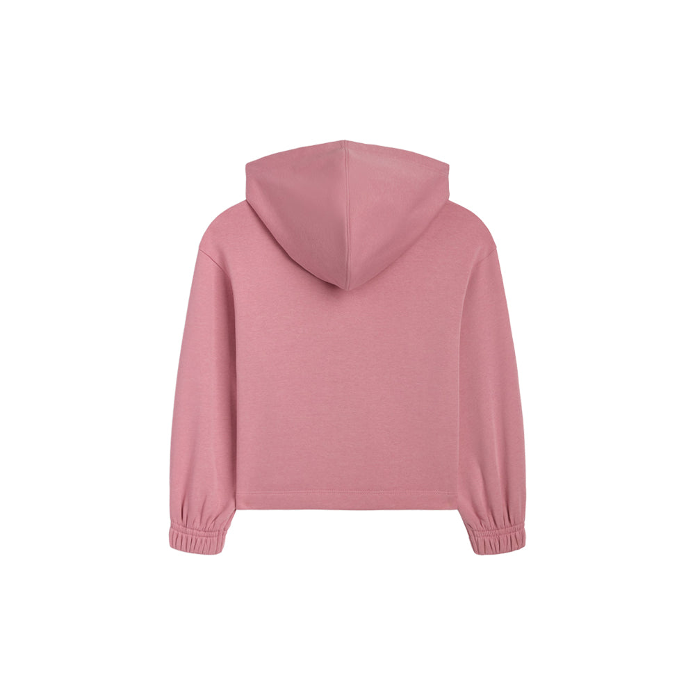 Class Pack Cotton Fleece Pullover Hoodie (Youth)