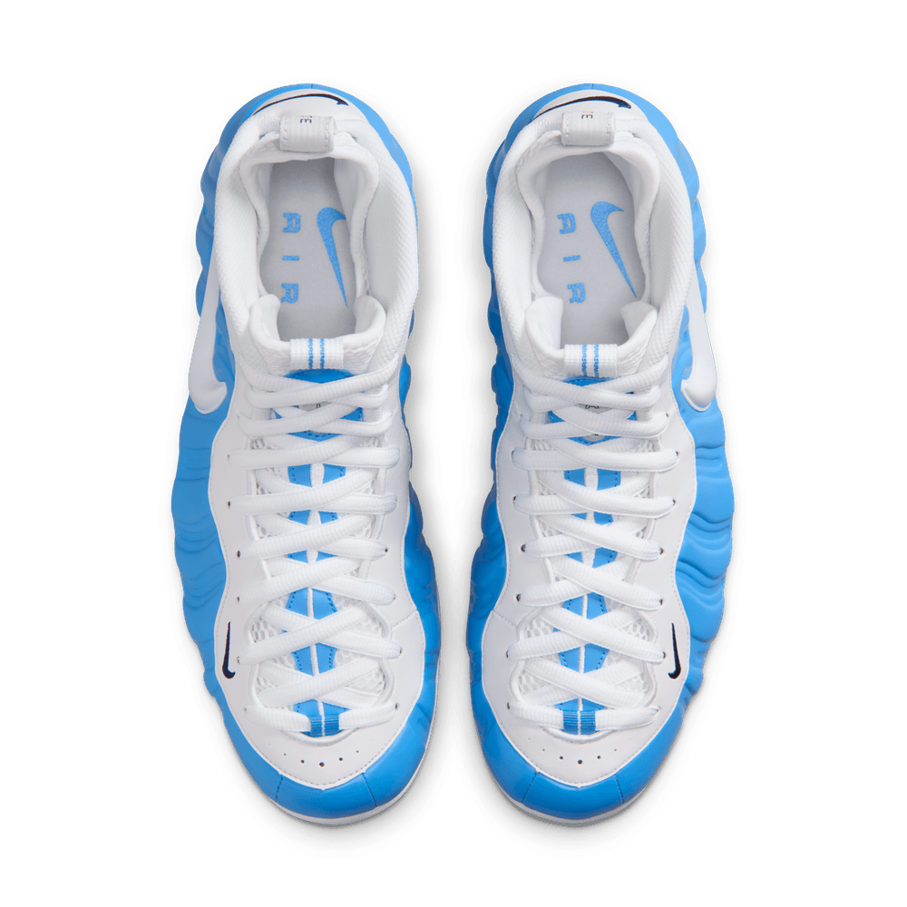 Nike Air Foamposite Pro