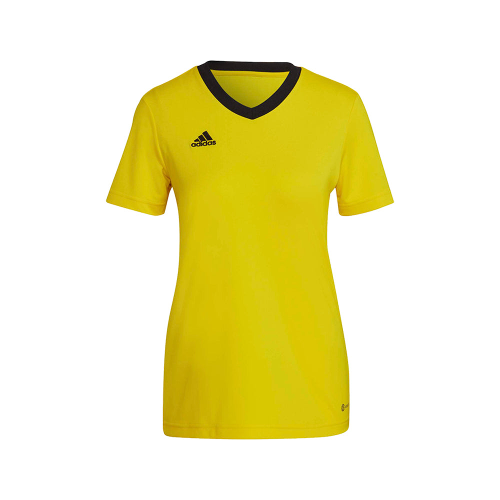 Entrada22 Jersey