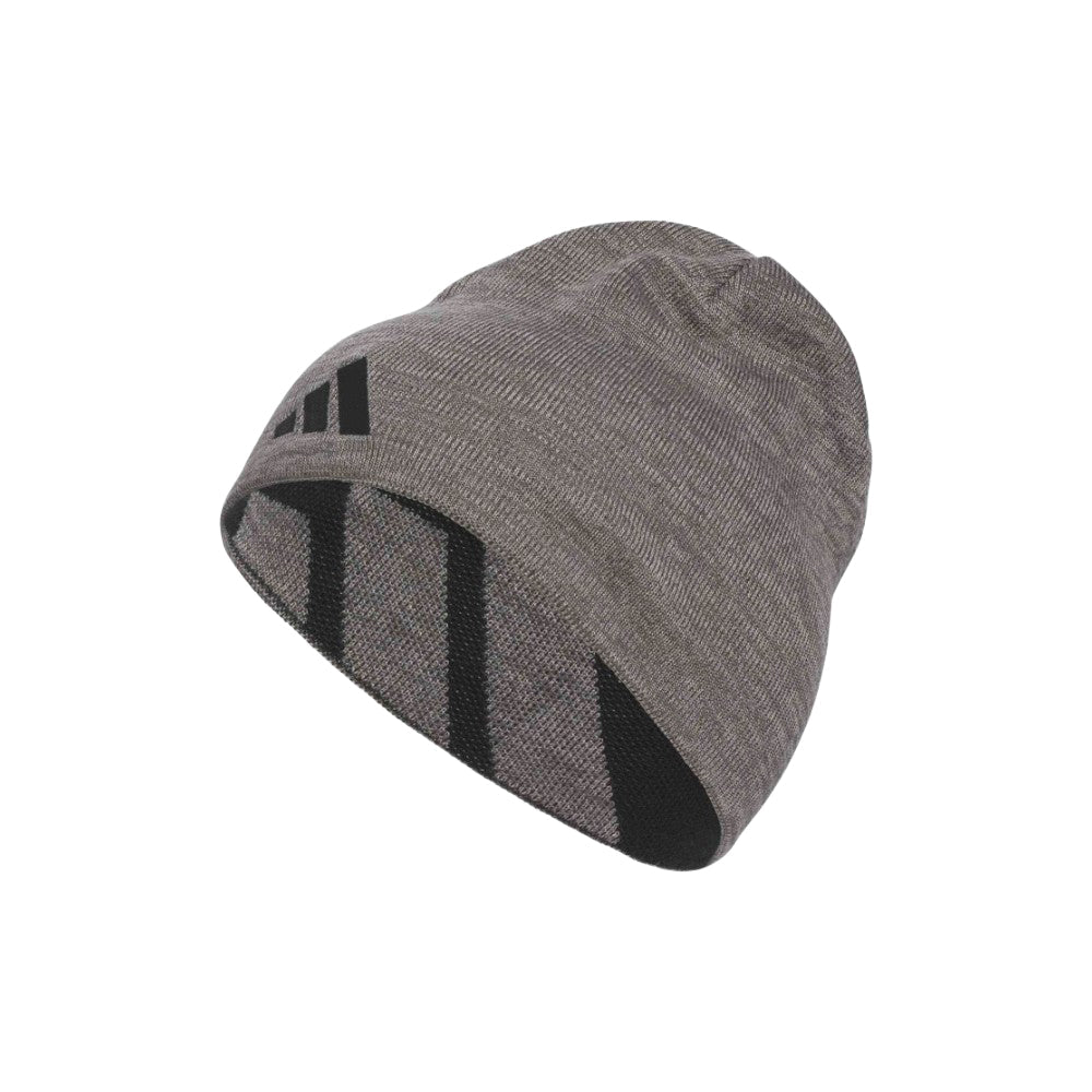Men's Reversible Skully Beanie