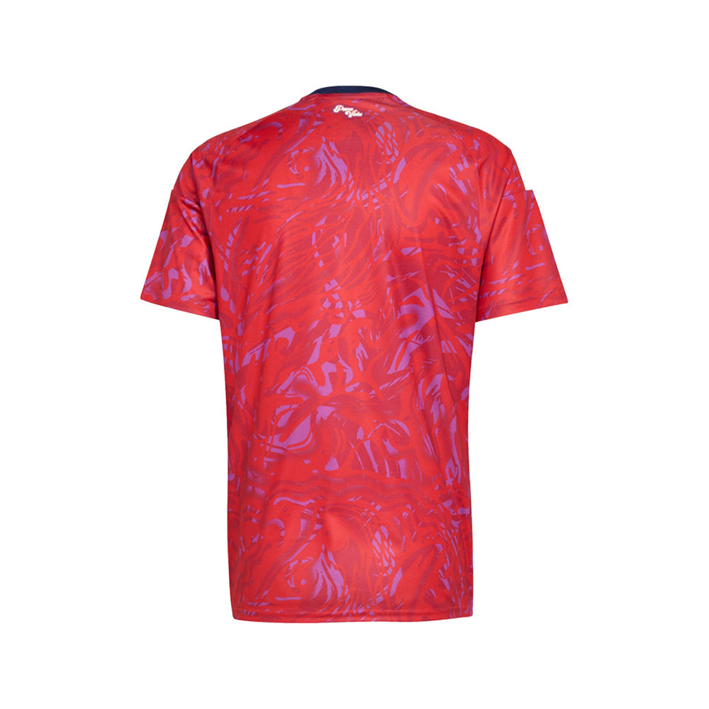 Costa Rica 26 Home Shirt