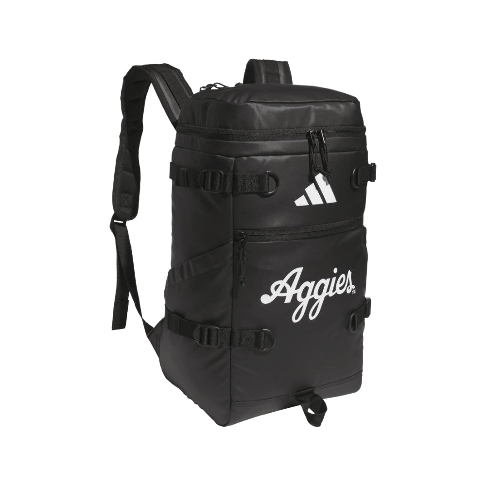 Collegiate Vista Backpack