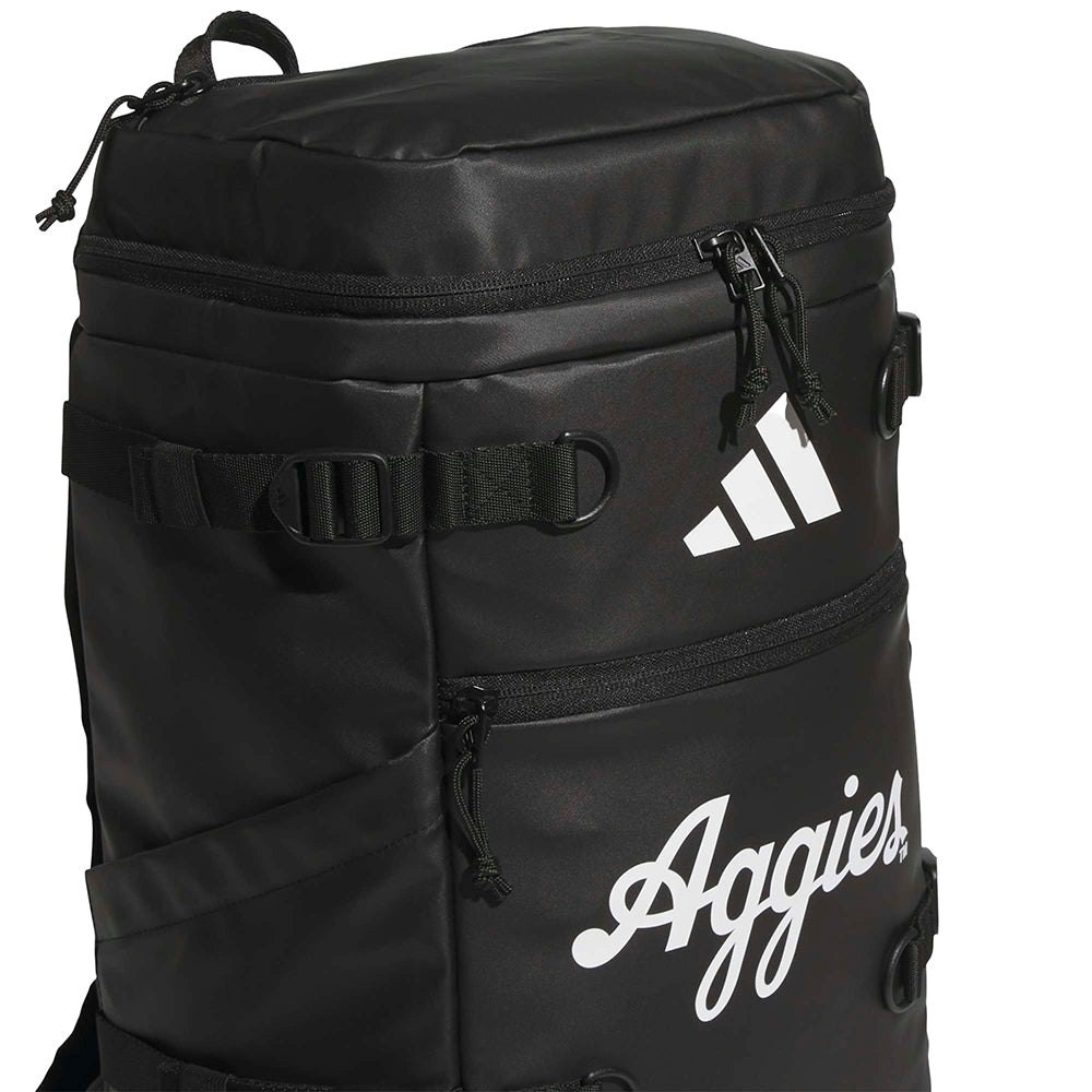 Collegiate Vista Backpack
