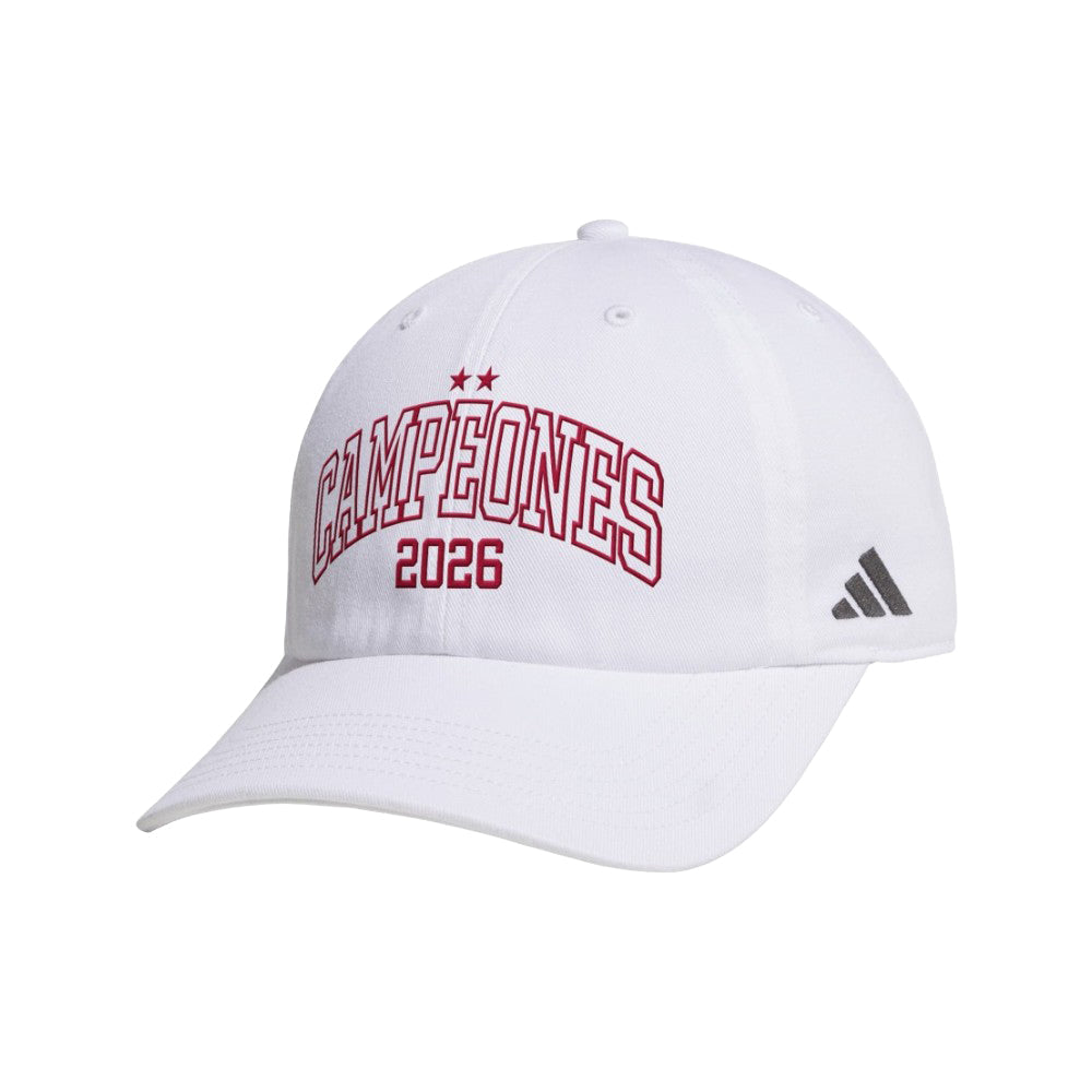 Spain Campeones Dad Cap
