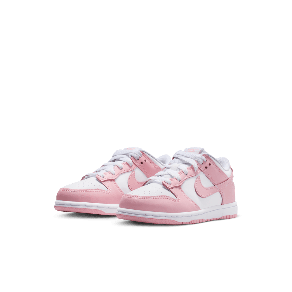 PS Nike Dunk Low