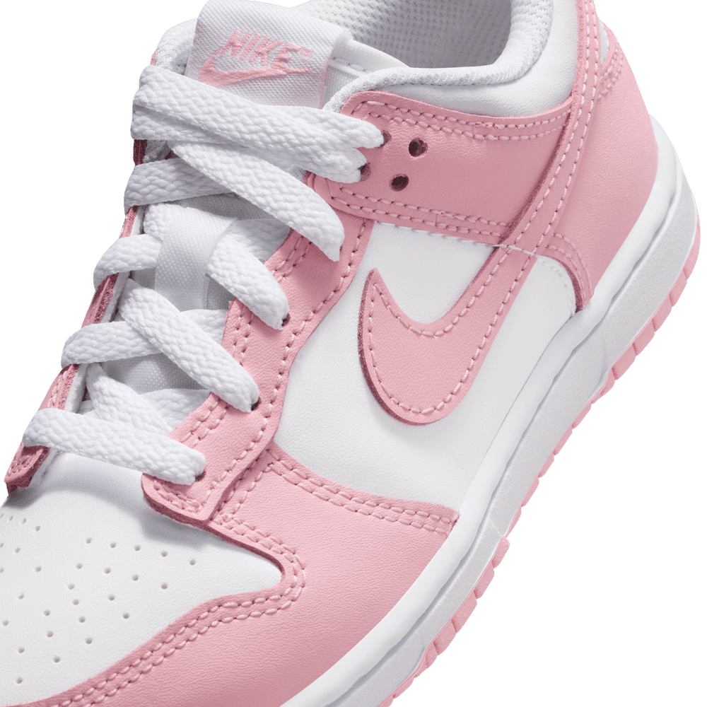 PS Nike Dunk Low