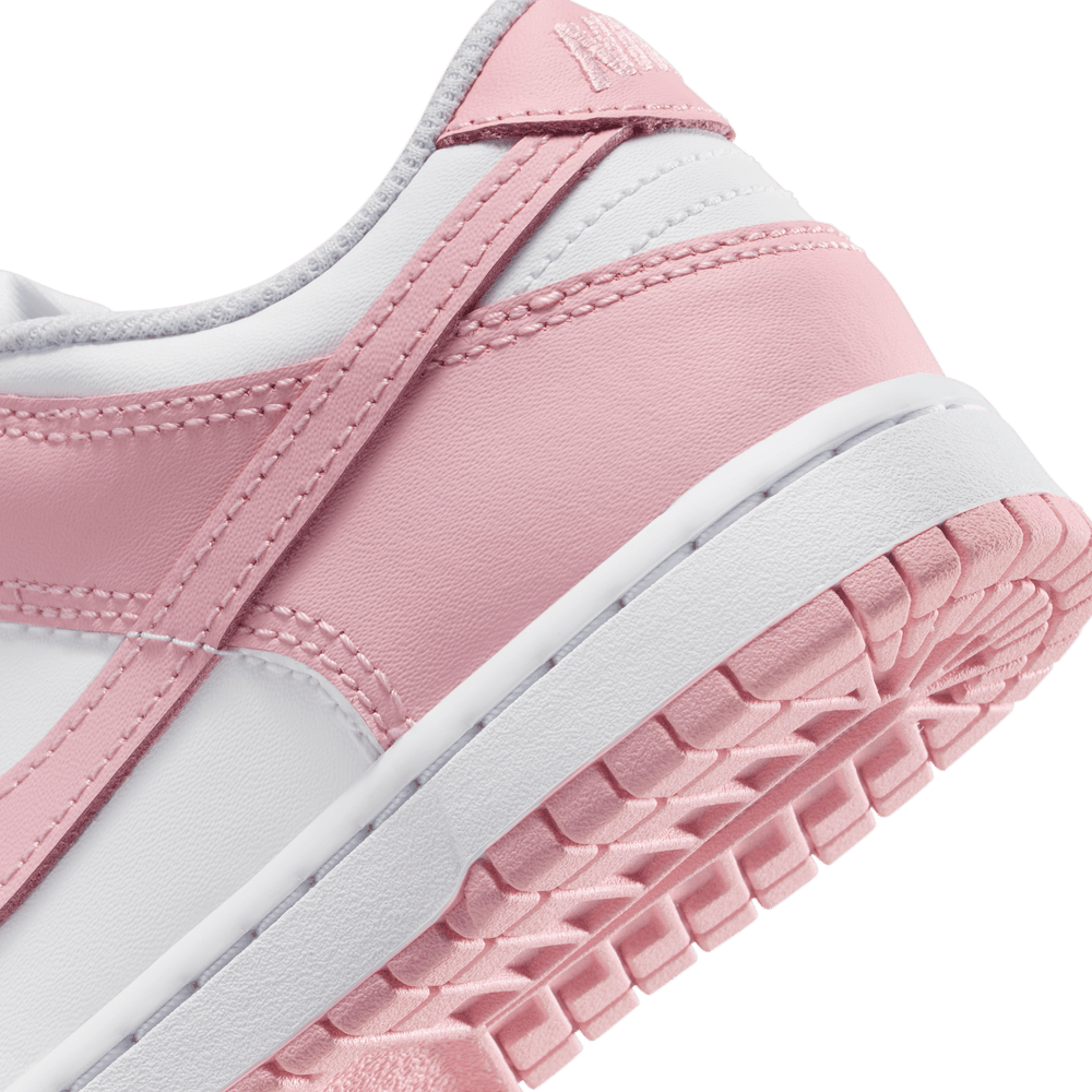 PS Nike Dunk Low