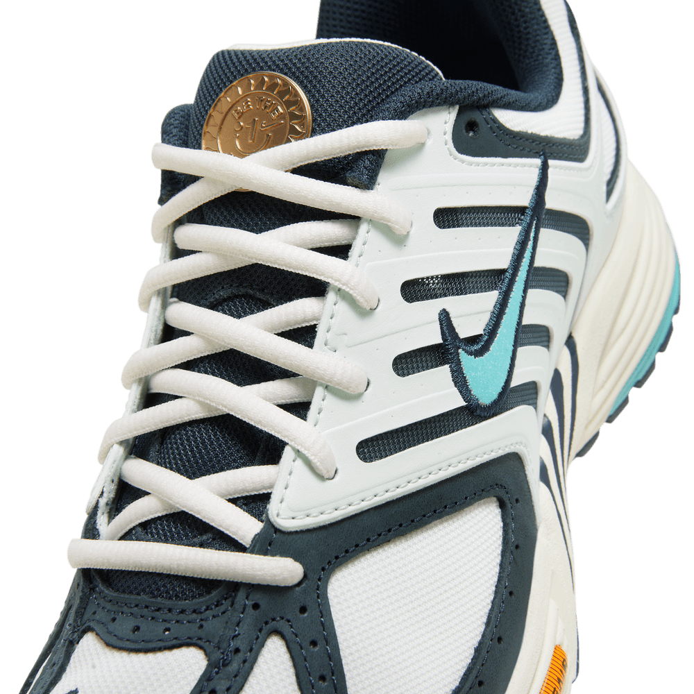Nike Air Pegasus 2005