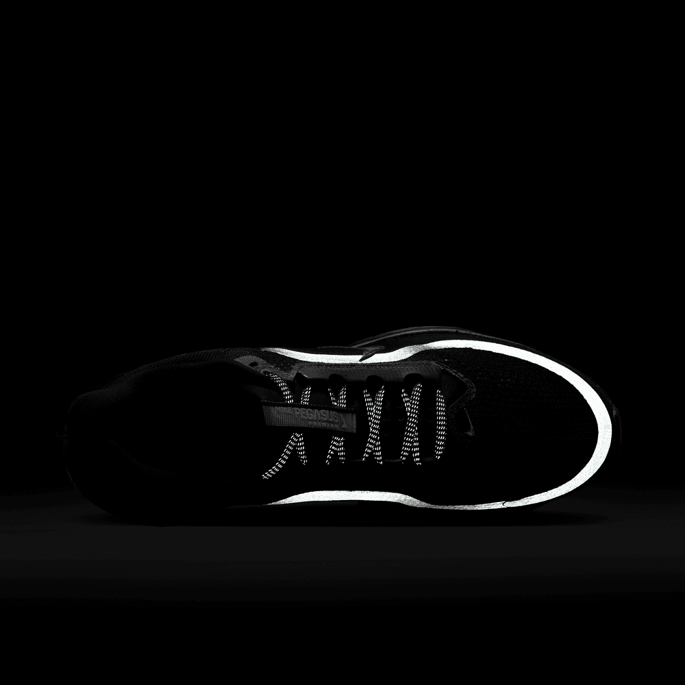 Nike Pegasus Premium