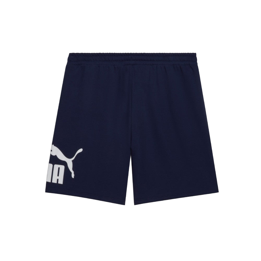 RTG Shiny 10 Inch Shorts