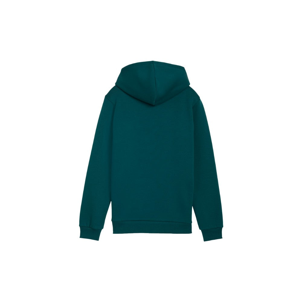 Fanpack Hoody (Youth)