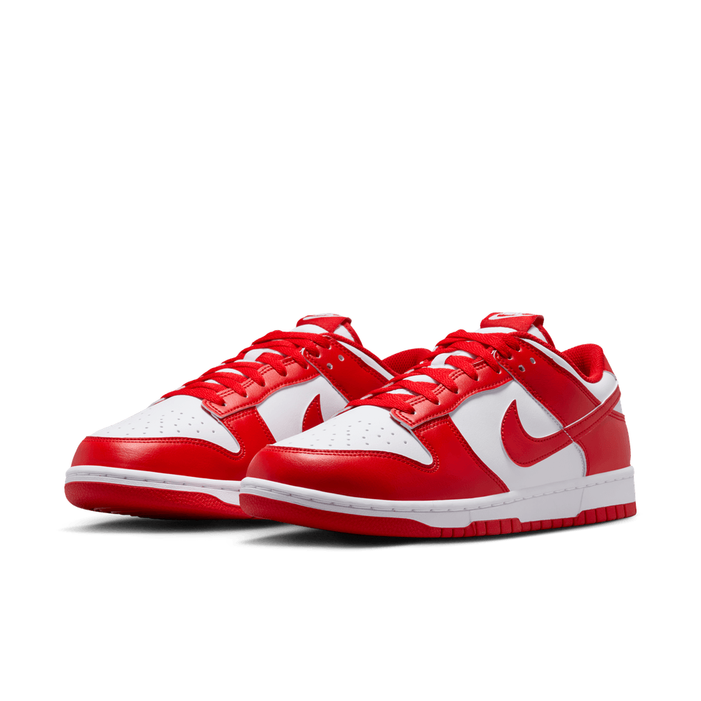 Nike Dunk Low Retro