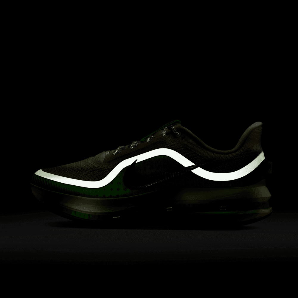 Nike Pegasus Premium