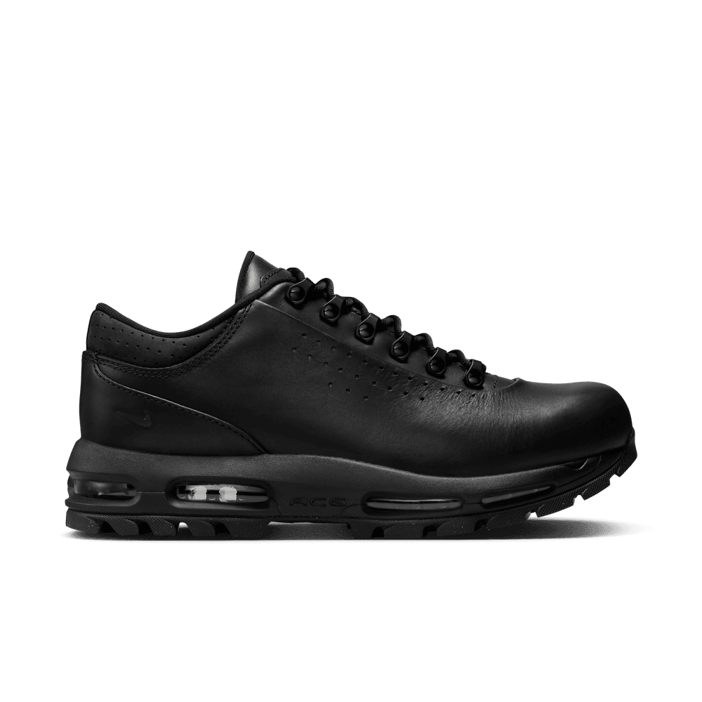 Nike Air Max Goadome Low SP