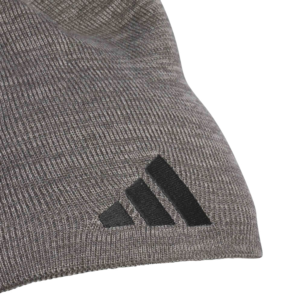 Men's Reversible Skully Beanie