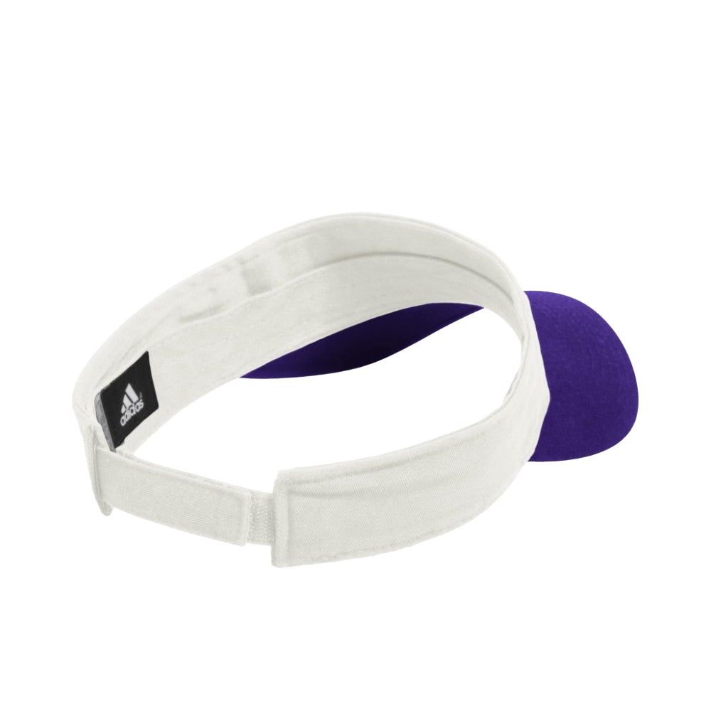 Team Visor