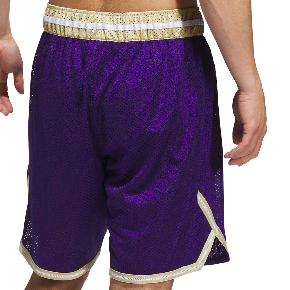 NCAA Washington Huskies Swingman Short
