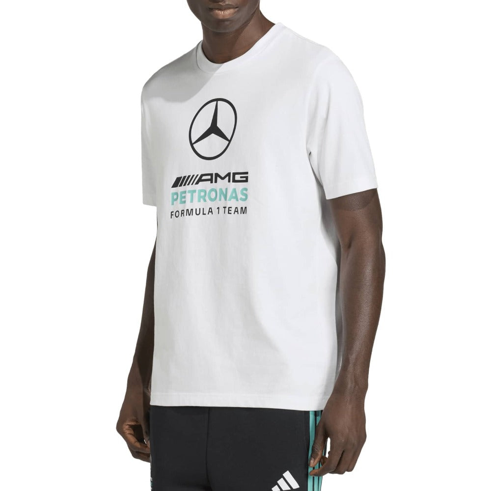 Mercedes-AMG Petronas Formula 1 Team Dna Graphic T-Shirt
