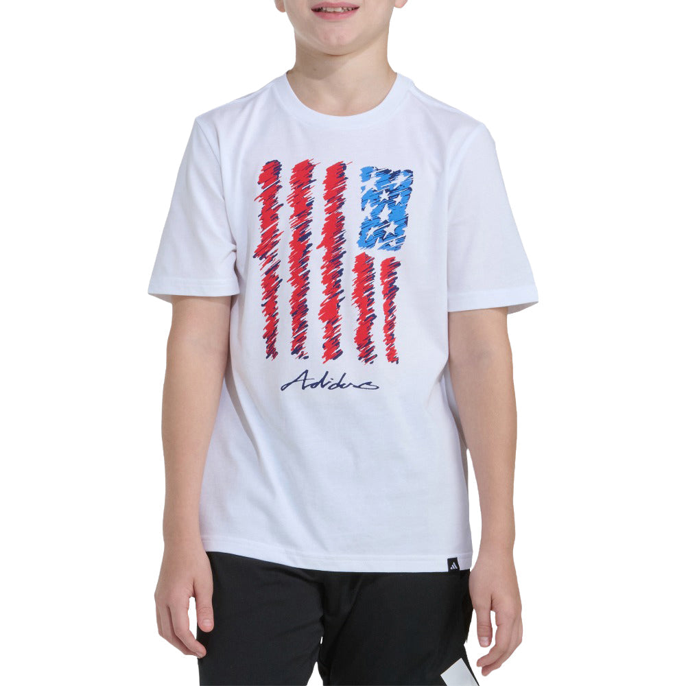 Short Sleeve USA Flag Tee (Youth)