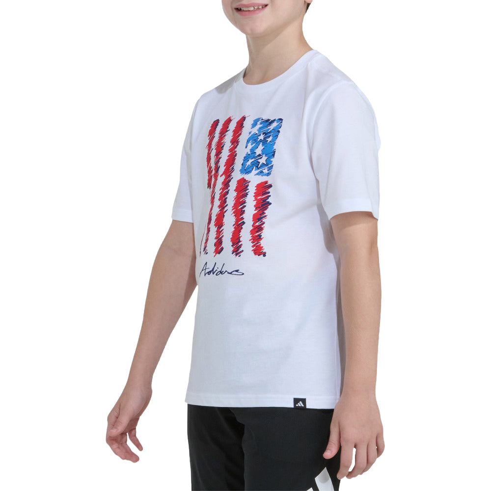 Short Sleeve USA Flag Tee (Youth)