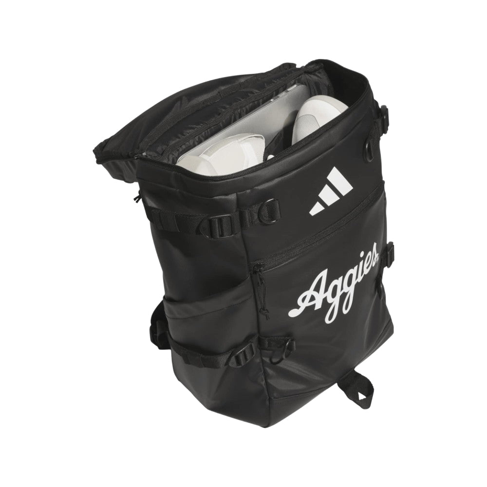 Collegiate Vista Backpack