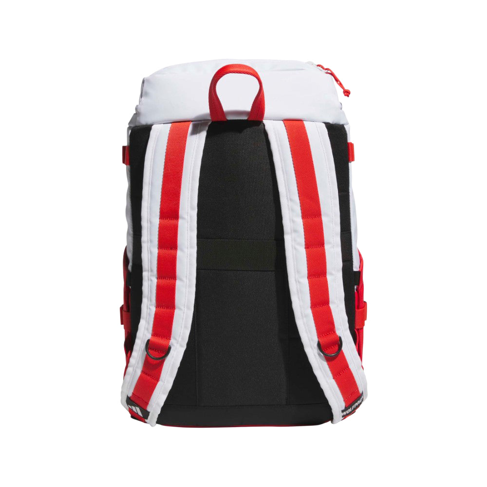 Collegiate Vista Backpack
