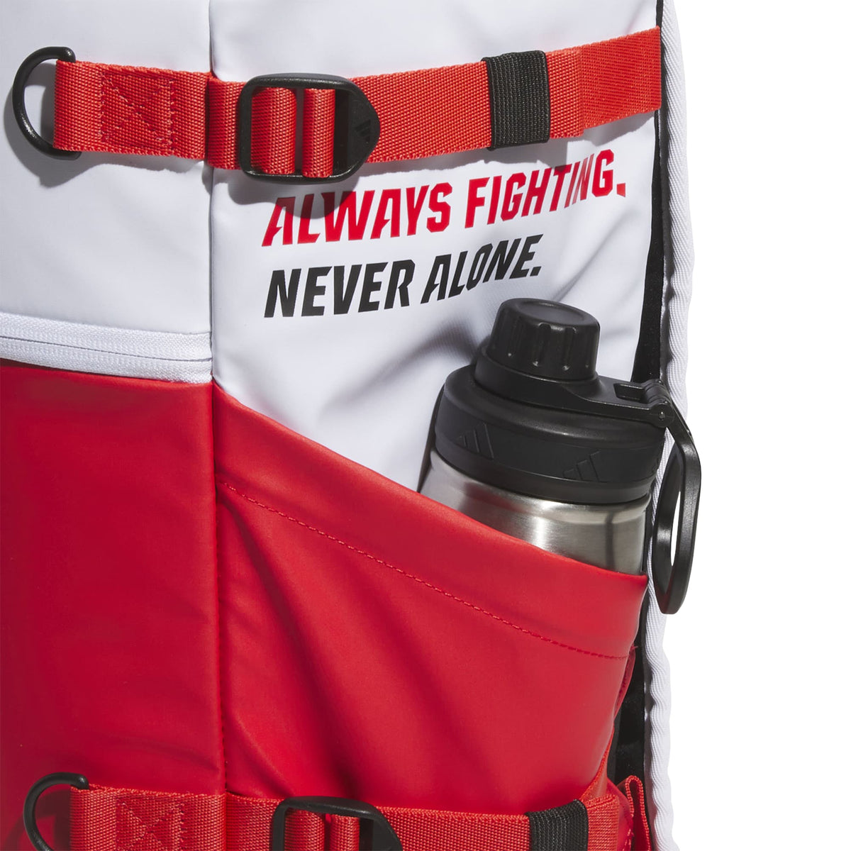 Collegiate Vista Backpack