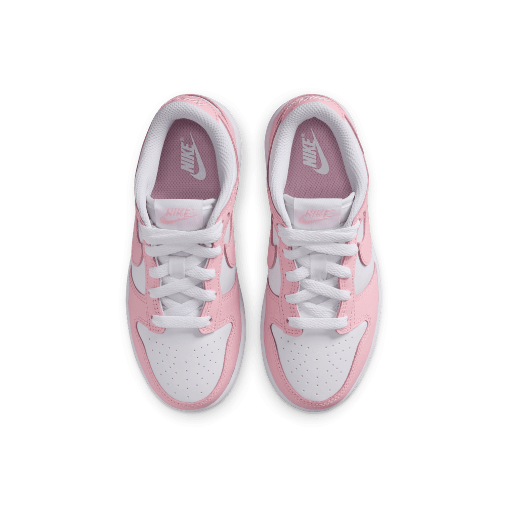 PS Nike Dunk Low