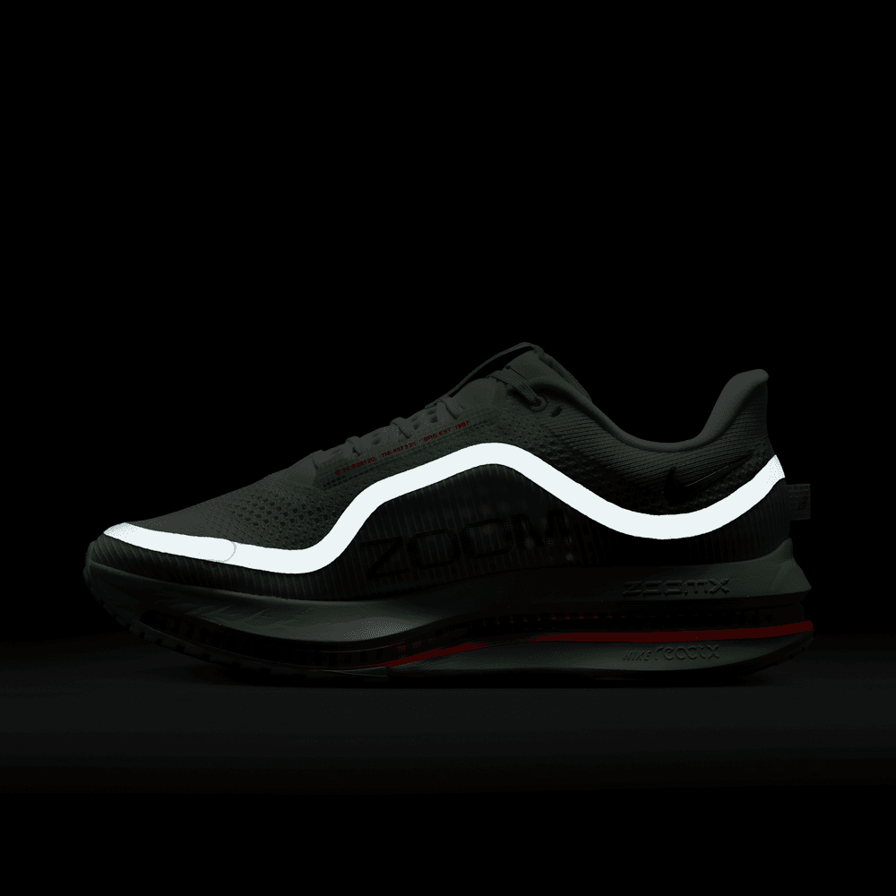 Nike Pegasus Premium