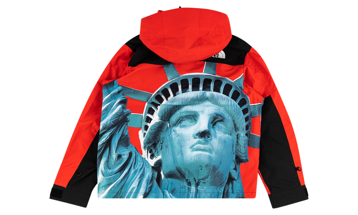TNF Mountain Jacket "FW19 - Statue Of Liberty" SU8175