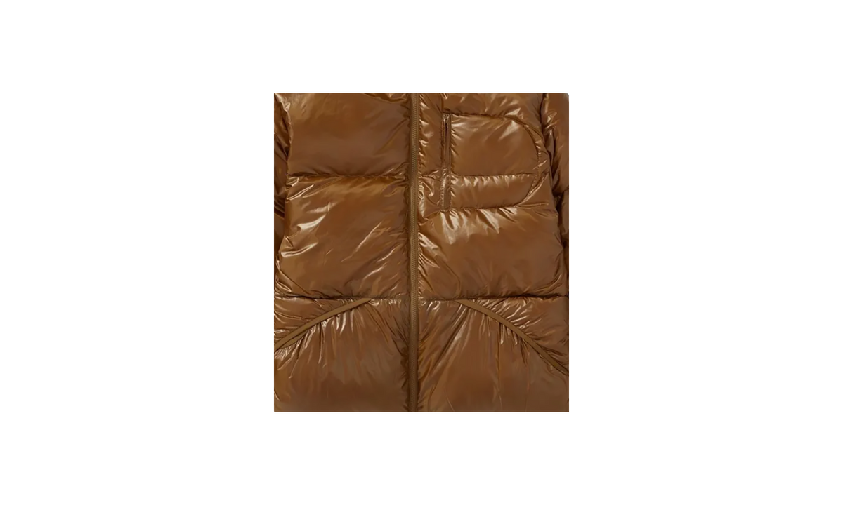 Hooded Down Jacket "FW21" FW21J24 BROWN
